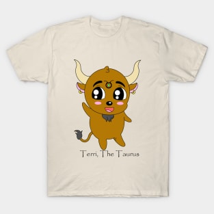 Terri T-Shirt